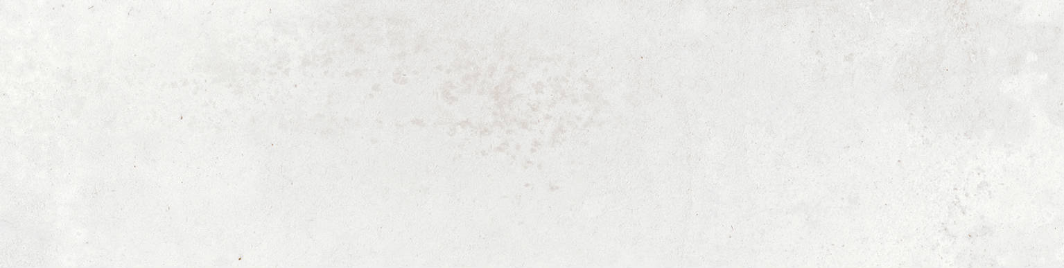Nissel White | Mayolica EN