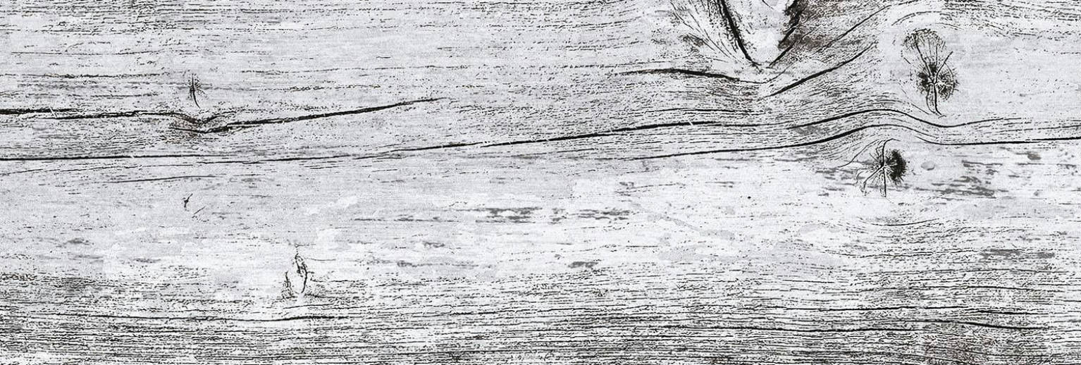 Wood Decor | Mayolica